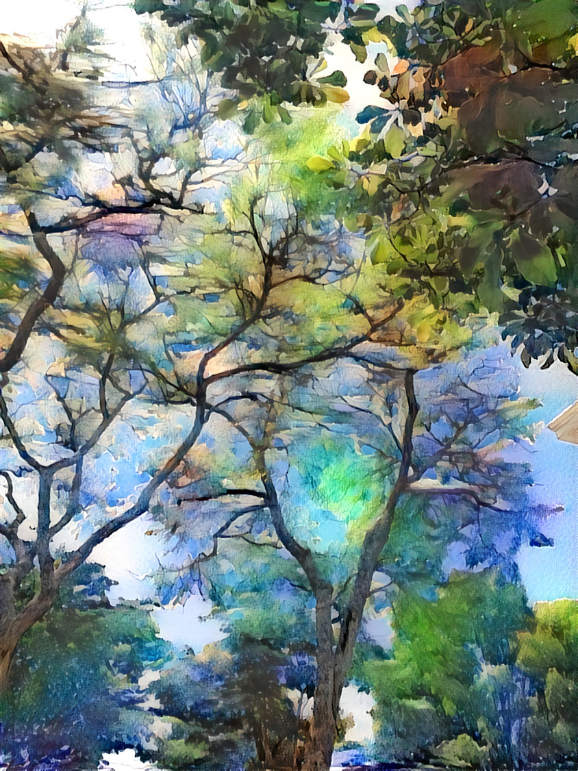 Trees