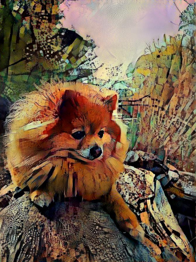 Foxie