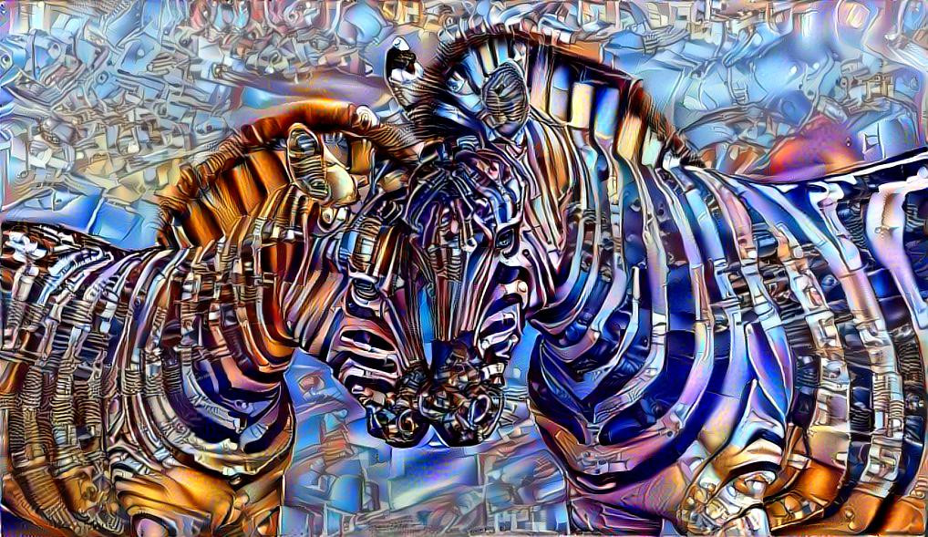 zebra