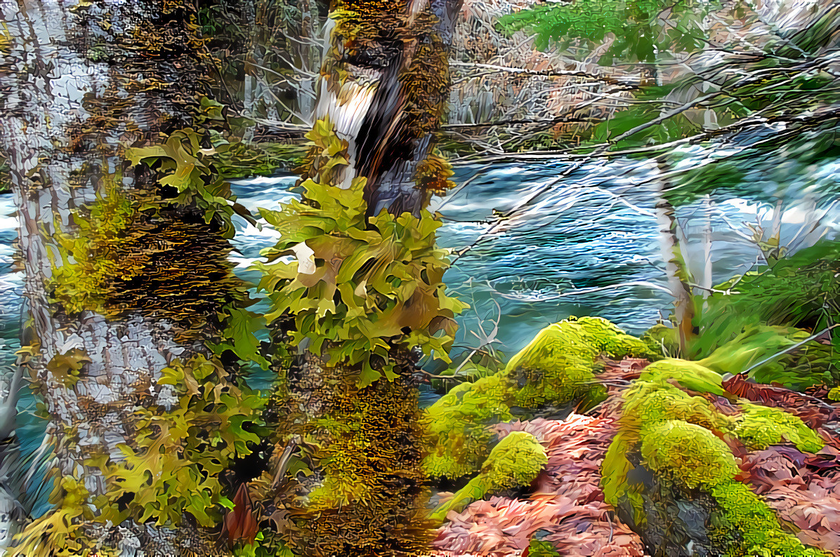 Rock Creek - Umpqua National Forest