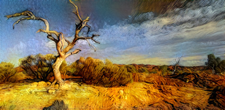 Vincent van Gogh Visits the Australian Outback 6.