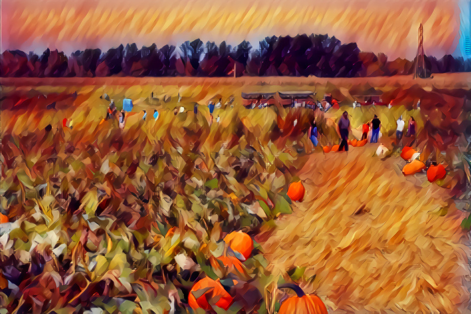 Pumpkin Fields Forever