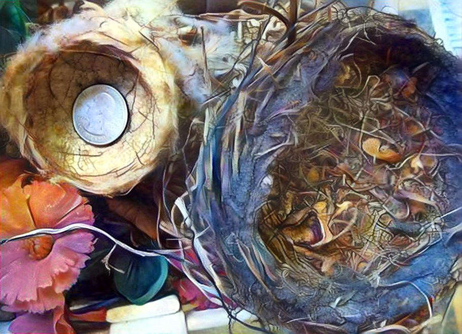 Hummingbird Nest and Normal Bird Nest