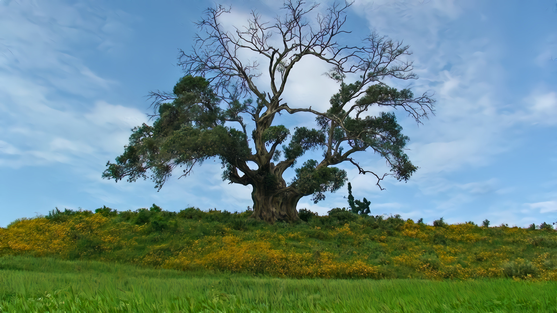 Tree and Meadow