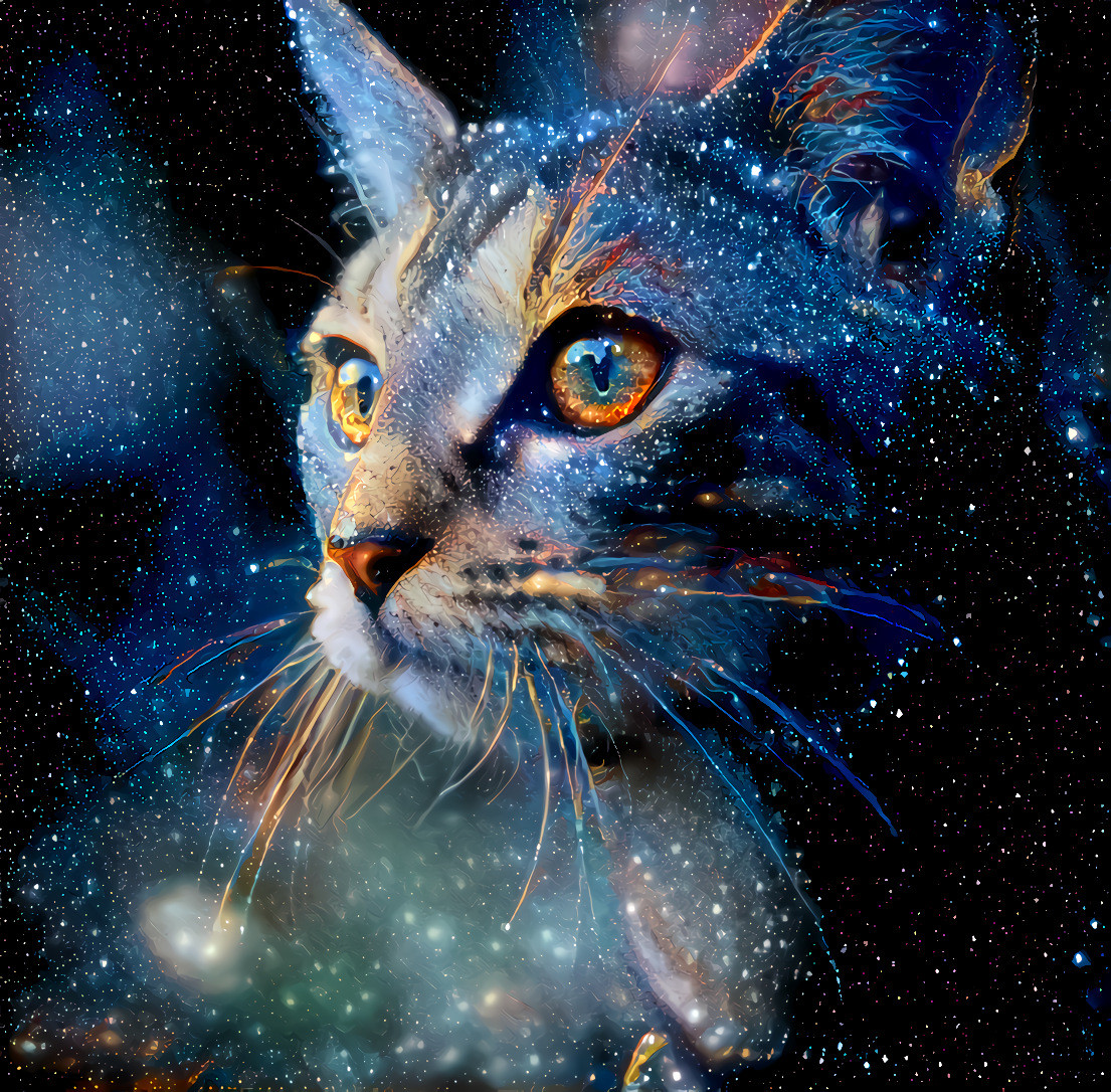 Intergalactic Cat