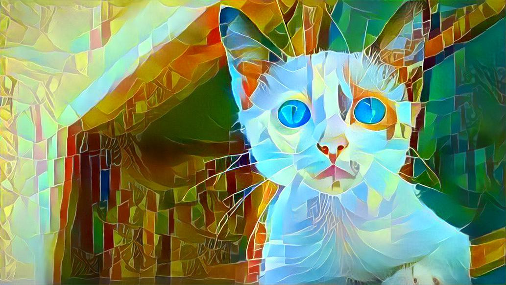 Fractal Cat