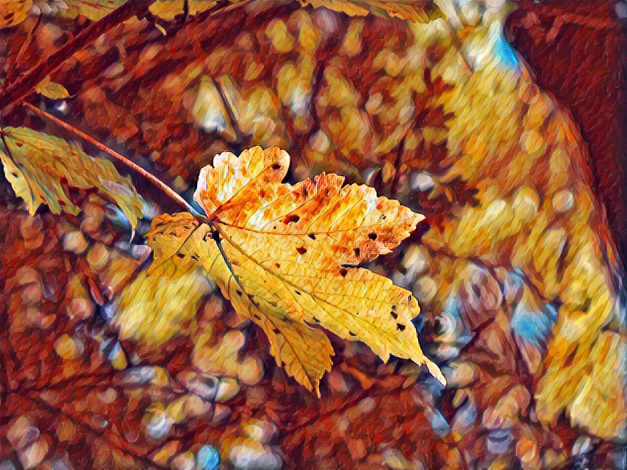 An autumn leaf in a breeze... that's all it is.