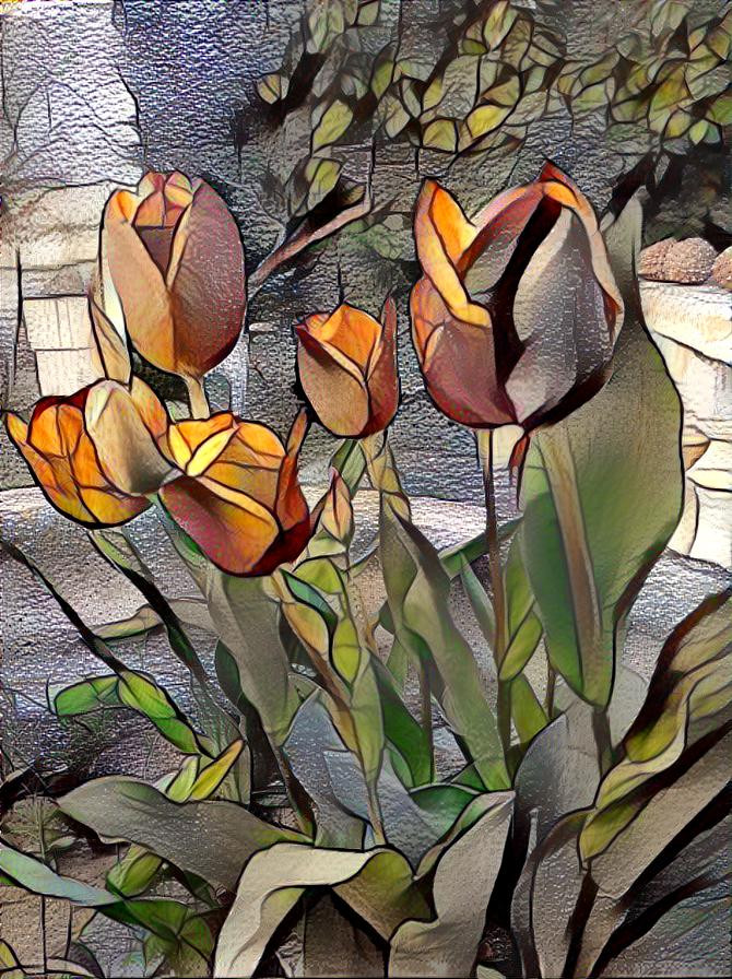 Tulipanes