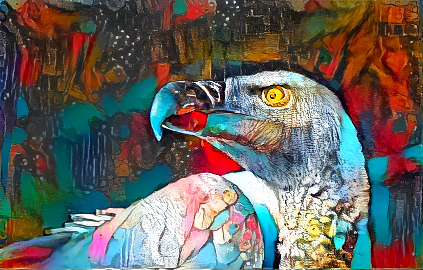 Vulture