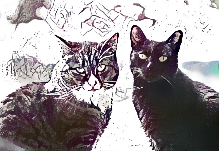 Two of my three cats