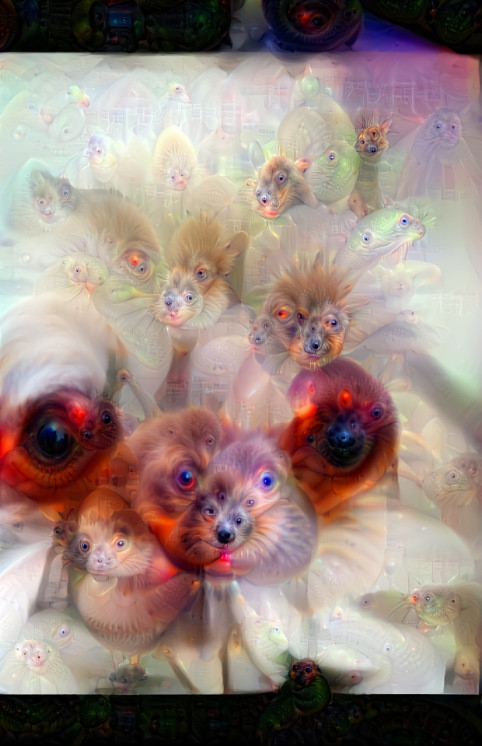 deep dream