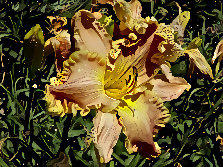 Daylily Dream #2. (Original color preserved)