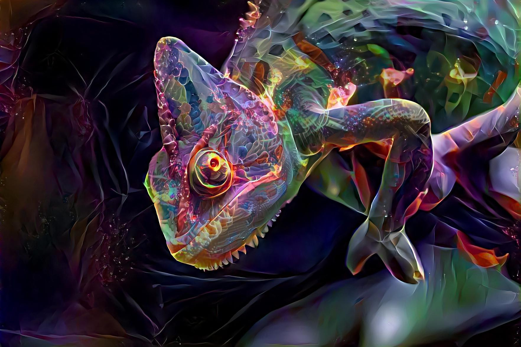 Colouful Chameleon