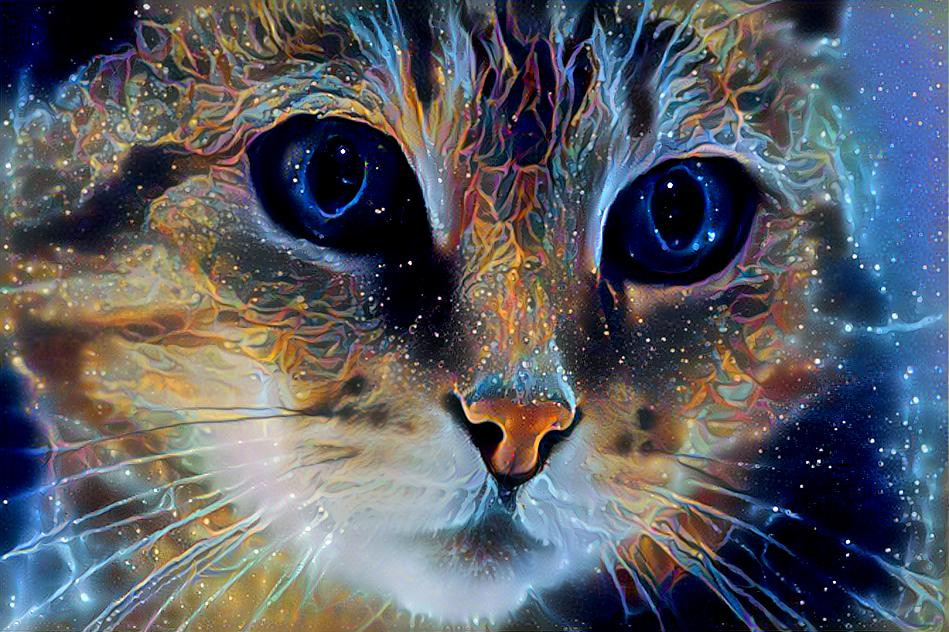 Galactic cat