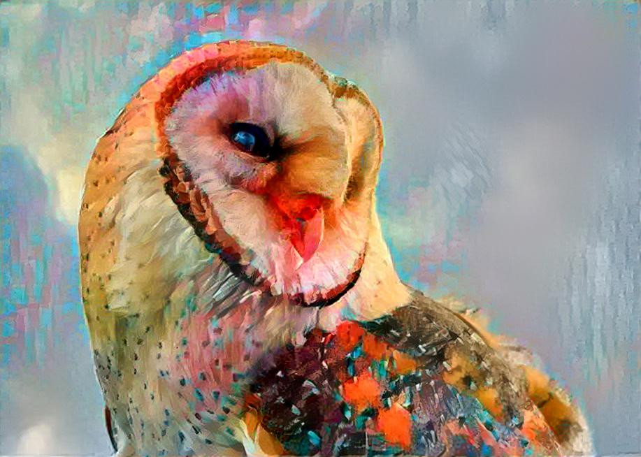 ~ Barn Owl, Untitled ~