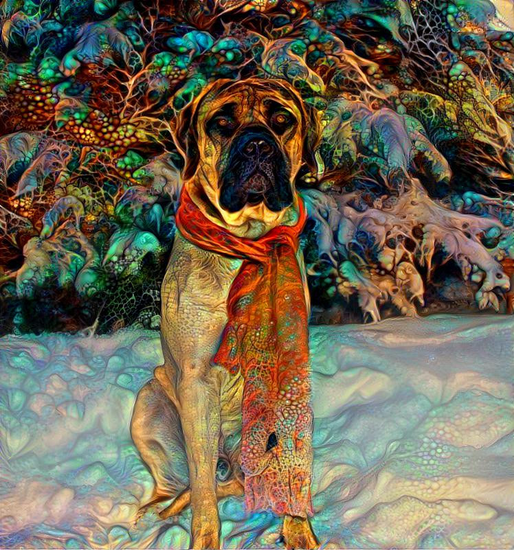 Roman ~ English mastiff