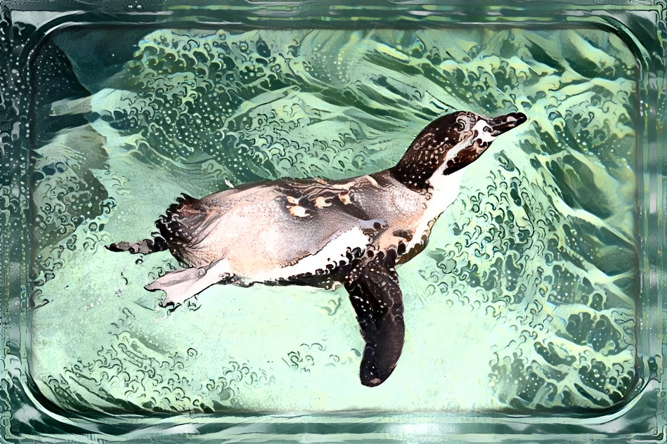 Humboldt penguin ( photo by me, Hokusai style )