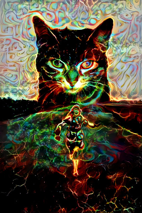 Cat Trip