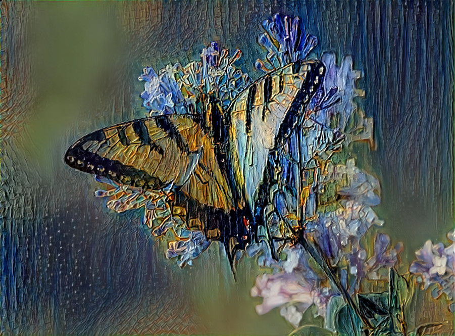 Butterfly