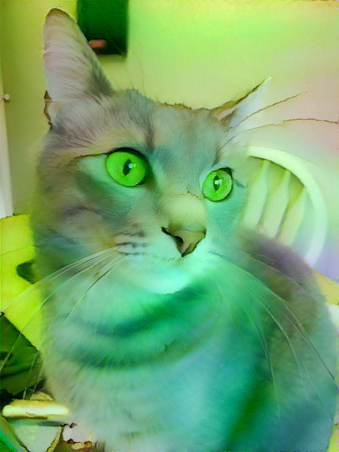 Green cat