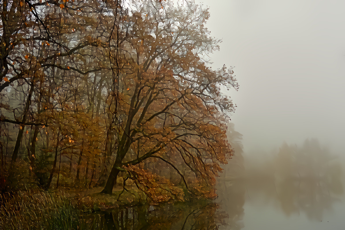 Autumn Park in Fog