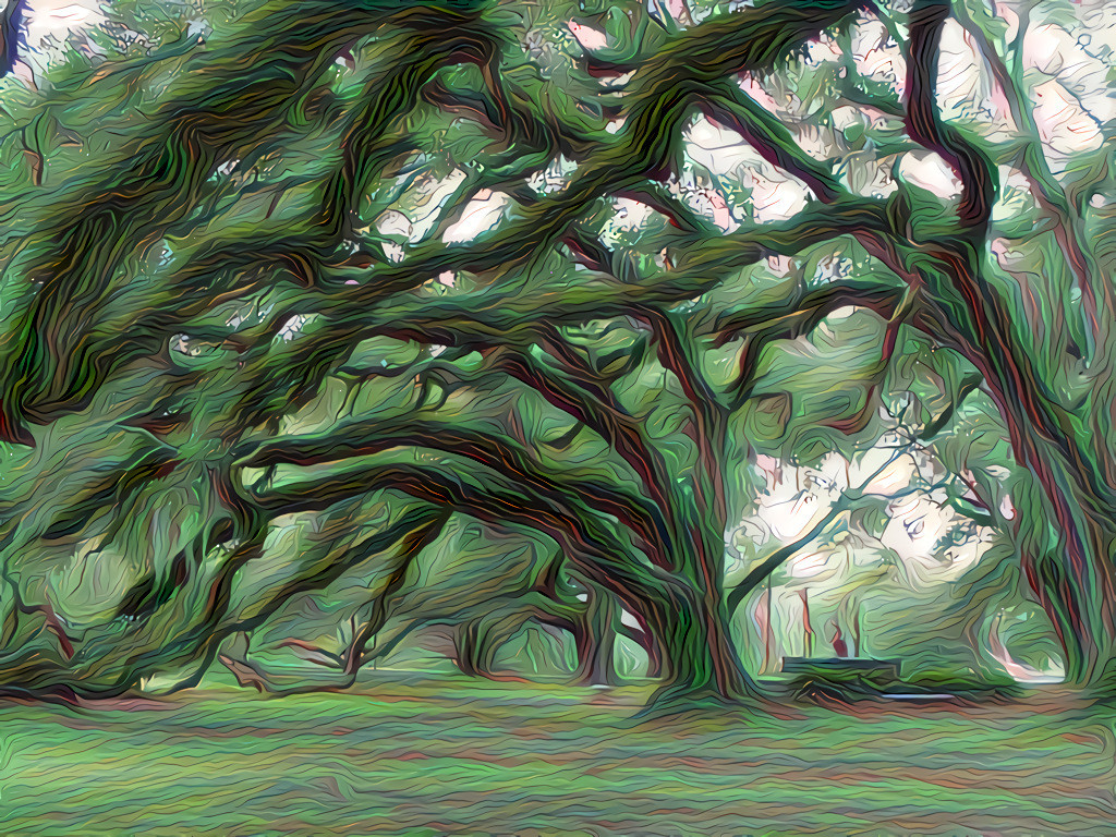 Live Oak, Louisiana