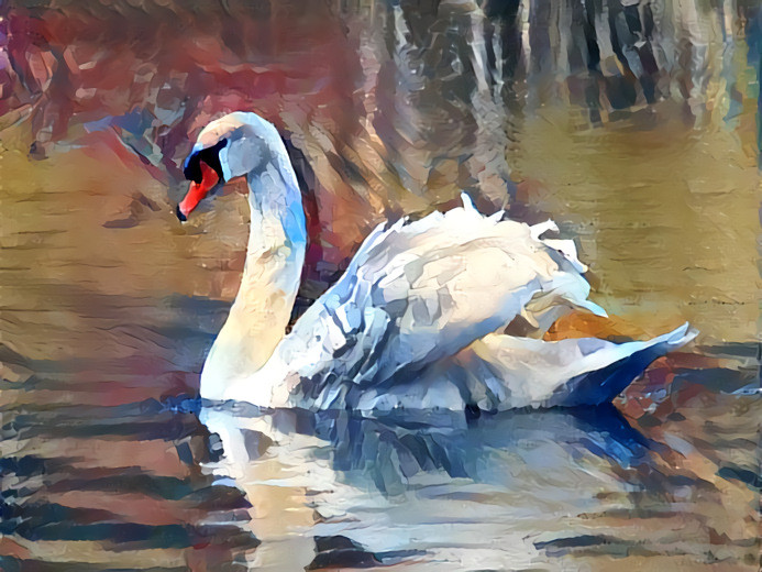 Swan - own photo