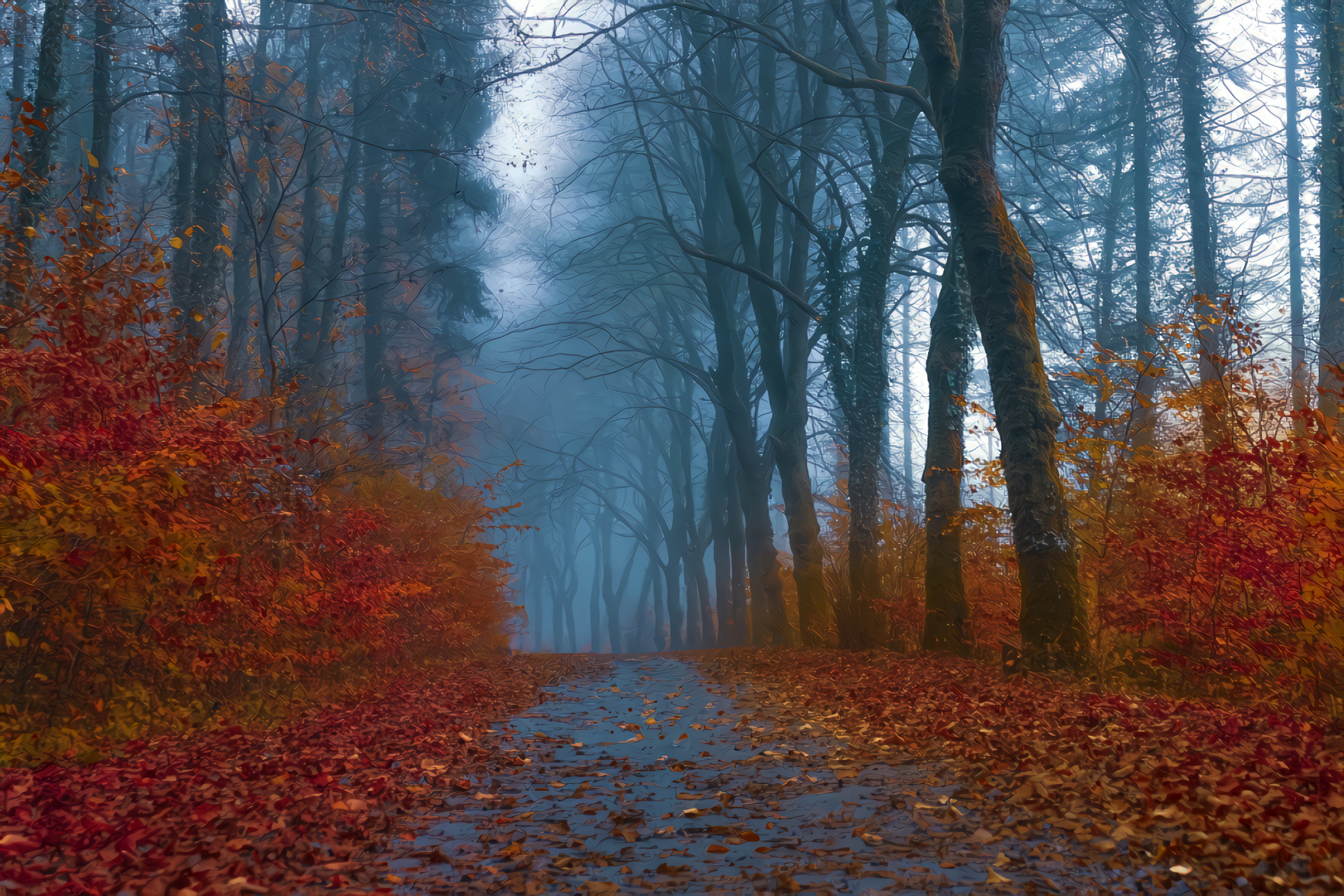 Autumn Leaves and Paths in the Woods