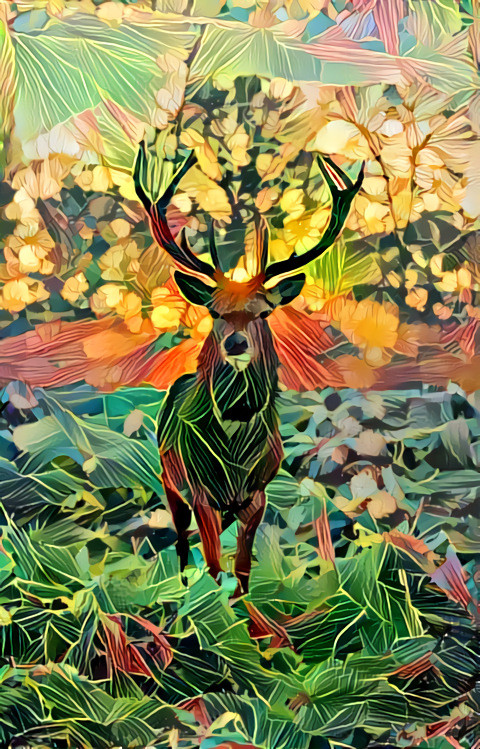 Tropicantlers