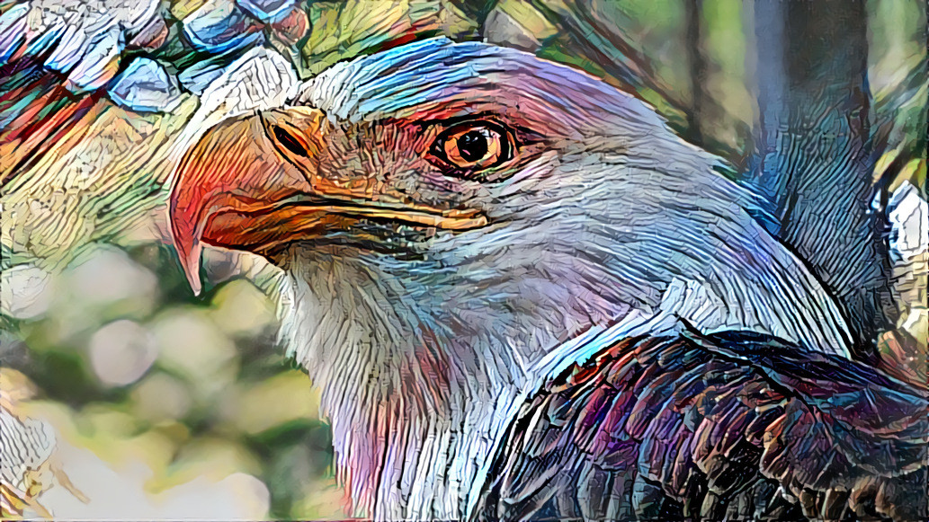 Eagle