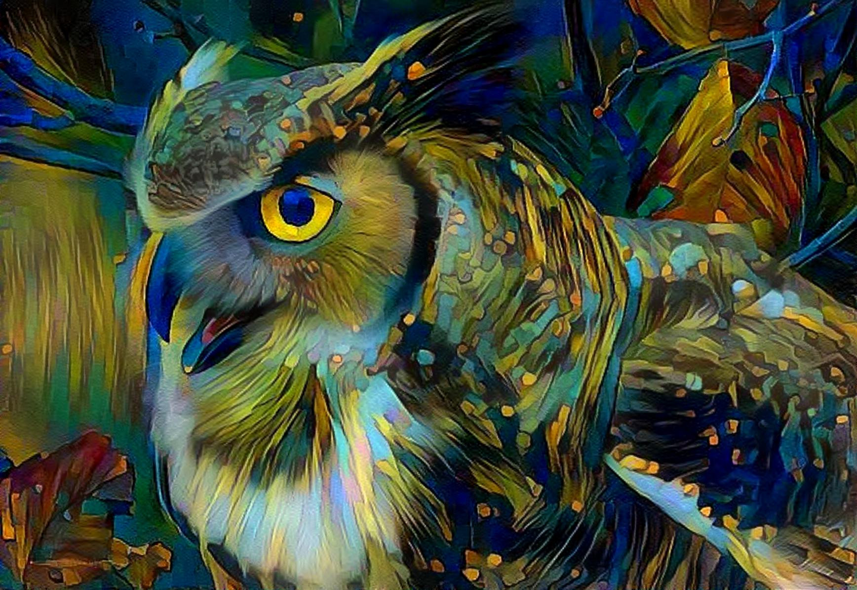 Another Owl