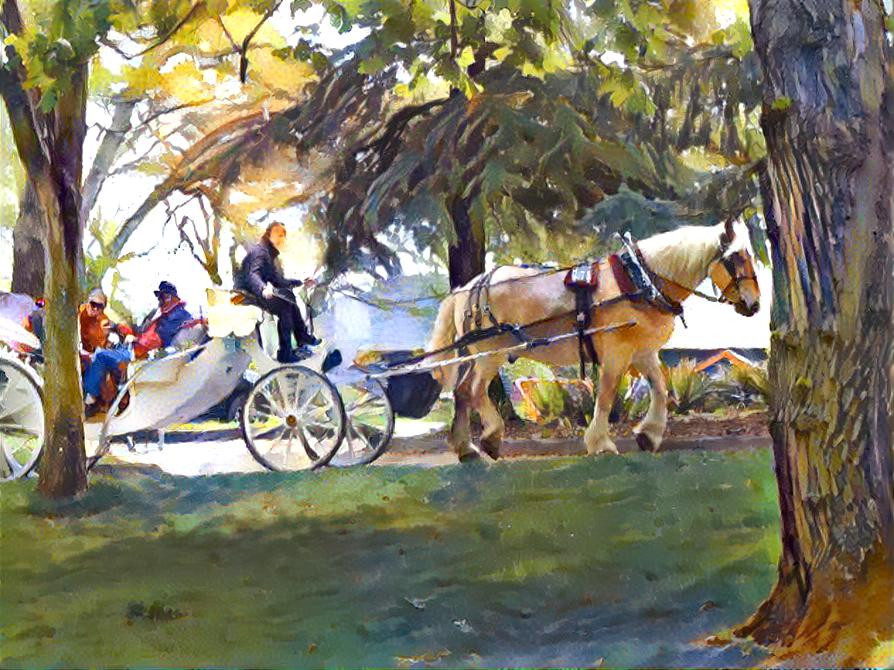 Carriage Ride through the Park