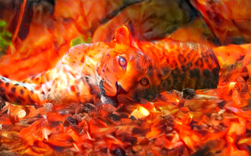 Fire leopard