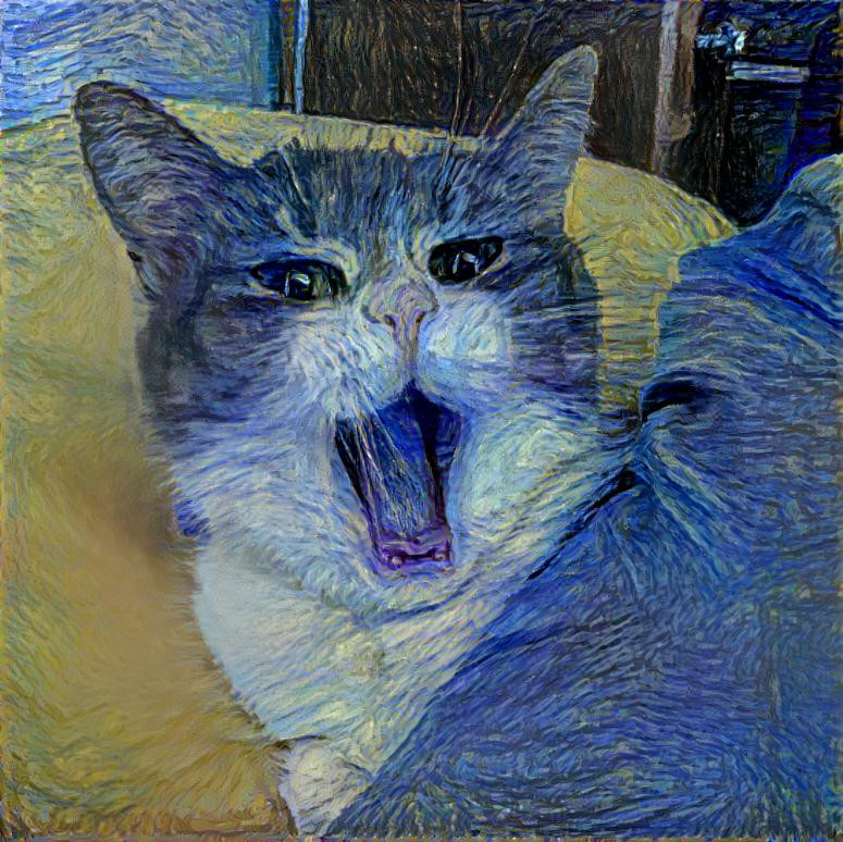 Starry Night Catto 1