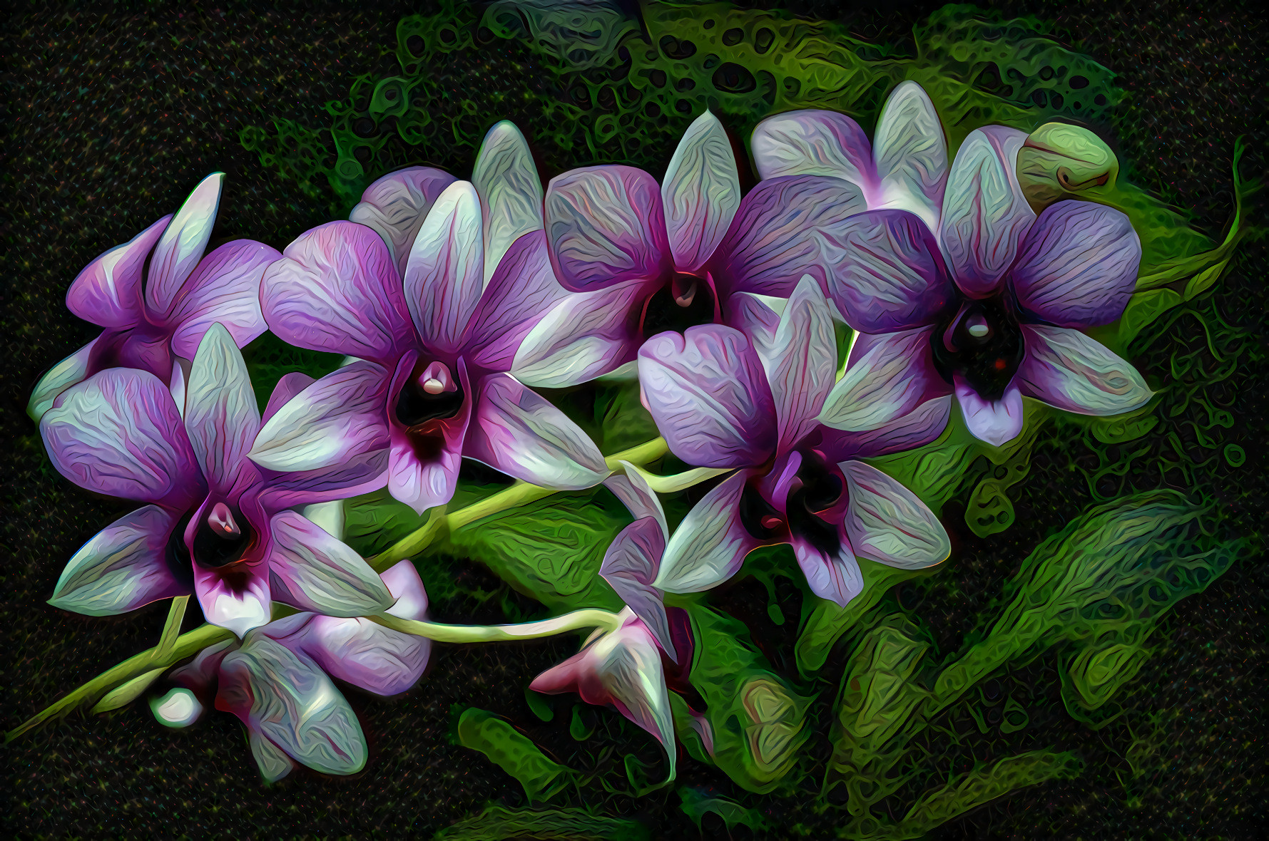 Orchid Purple and White