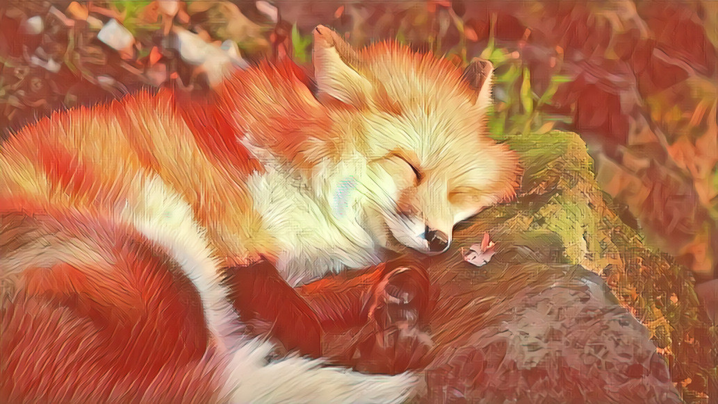 What Does the Fox Dream?