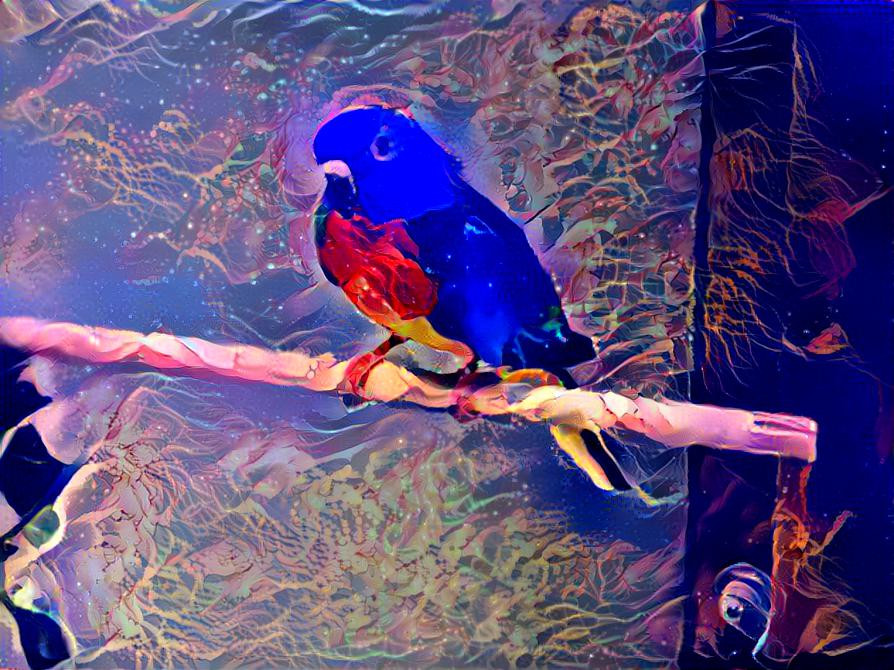 Bird with Vibrant Colors