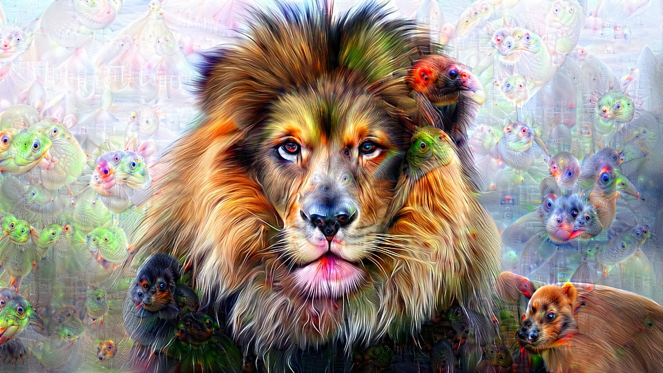 D Lion