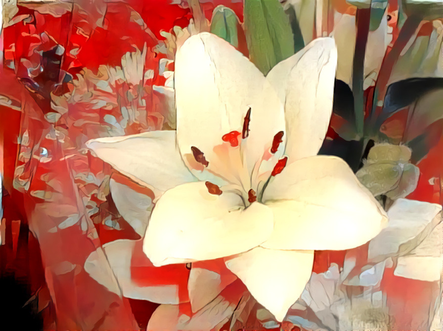 White Lily on Red