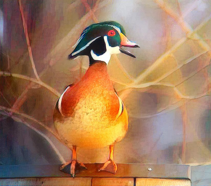 Incandescent Duck