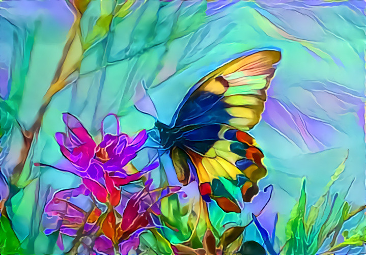 Butterfly