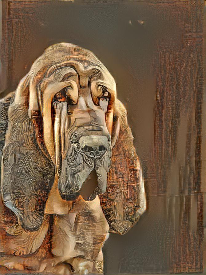 My bloodhound boy Peppino