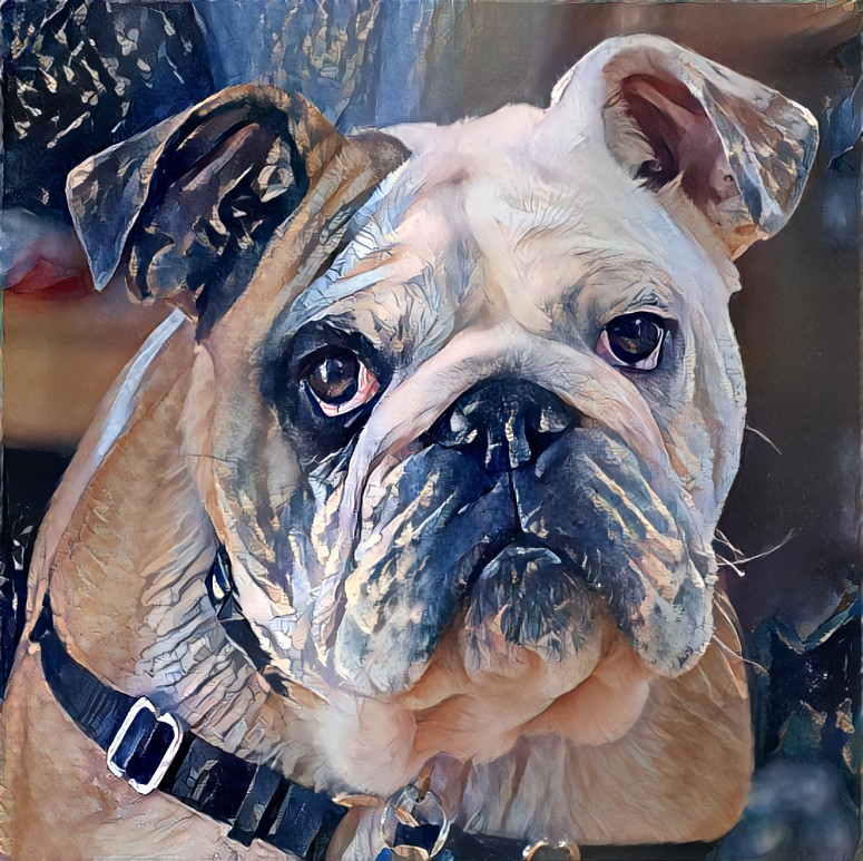 Bulldog