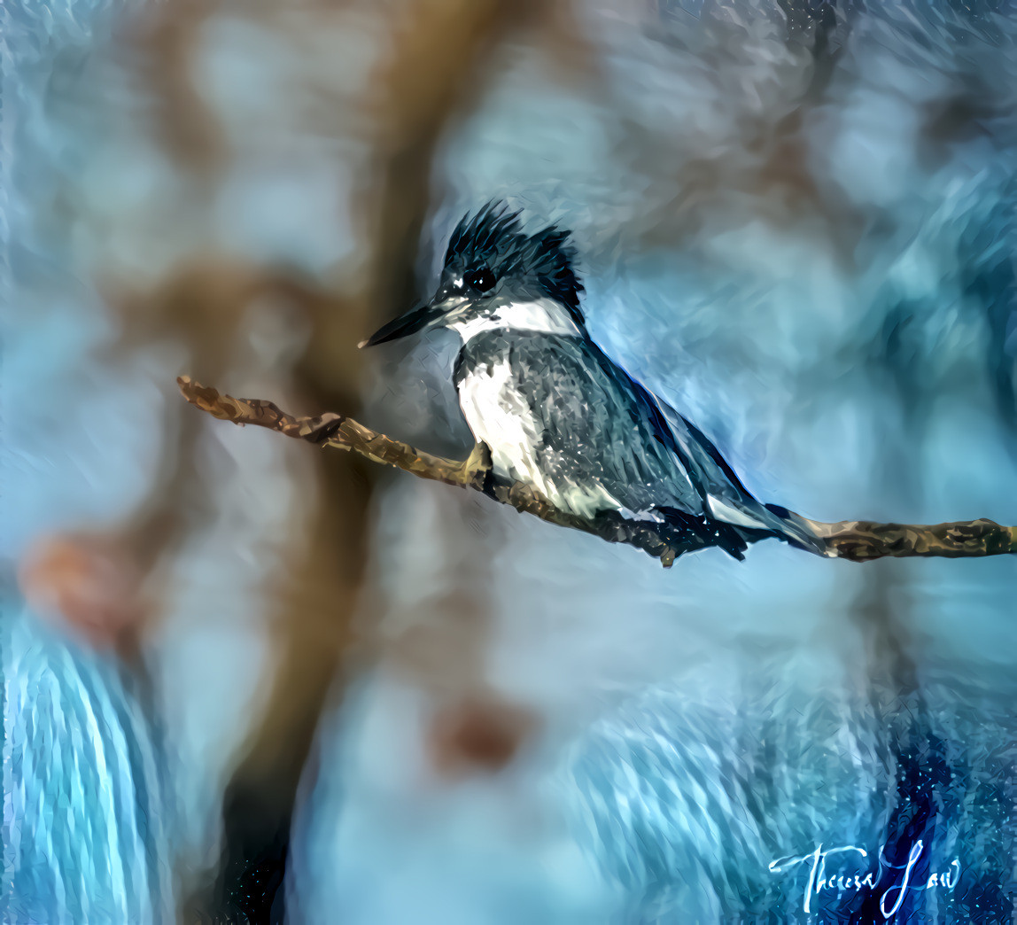 Kingfisher on Branch