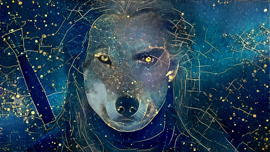 The Cosmic Wolf