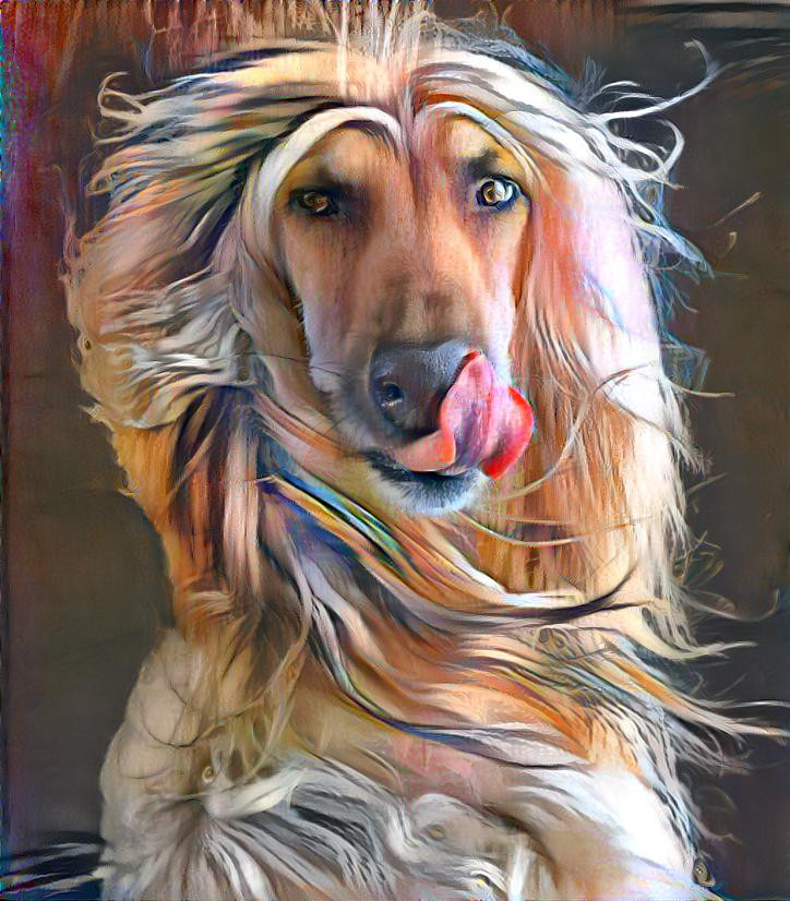 ~ Puppy Love, Afghan Hound ~