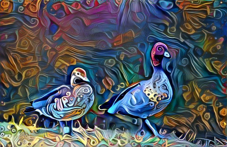 Wood Ducks