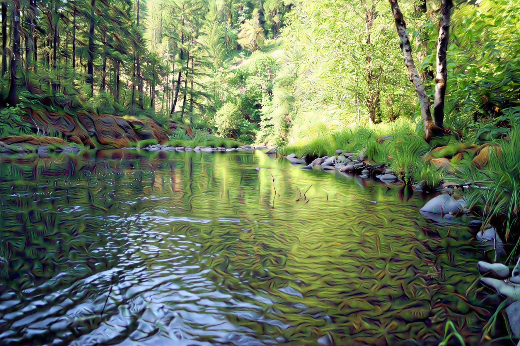 Shady Spot on Little River ~ Umpqua National Forest