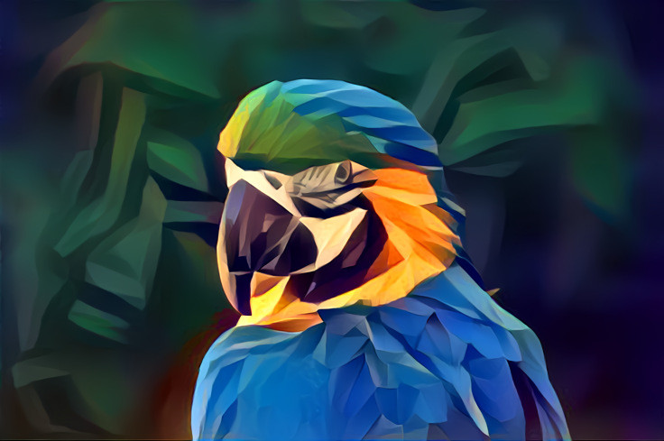 Parrot