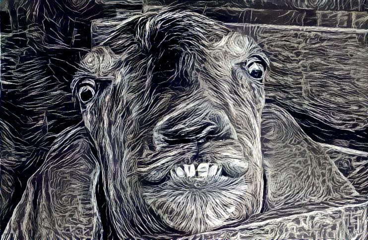 Sketchy Goat